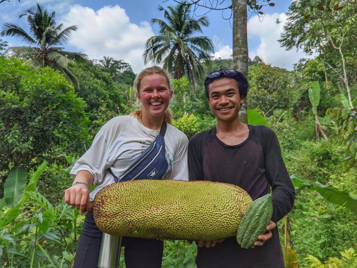 Manangel Séjour à la ferme Sindanglaka
