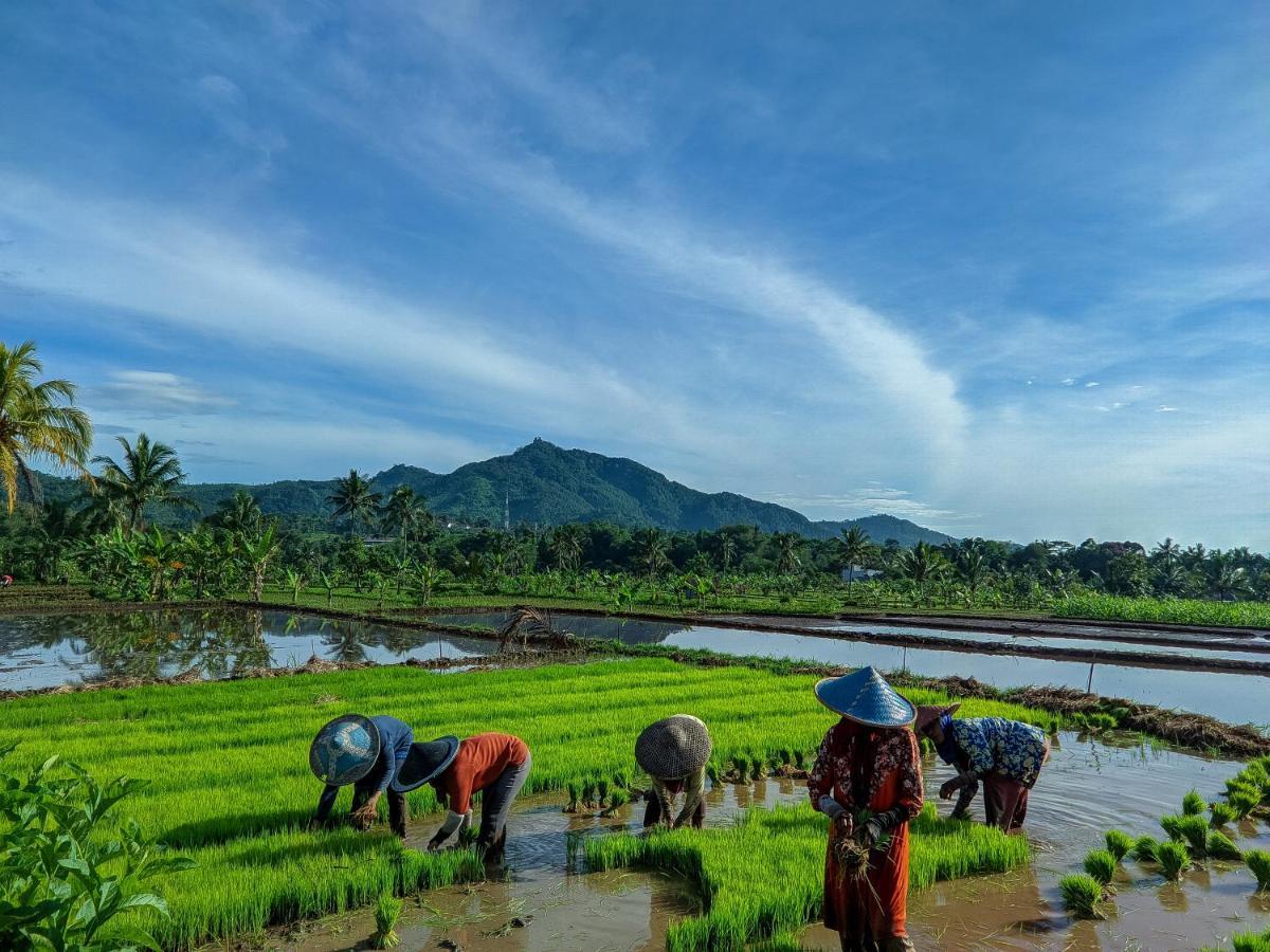Séjour à la ferme Manangel Sindanglaka