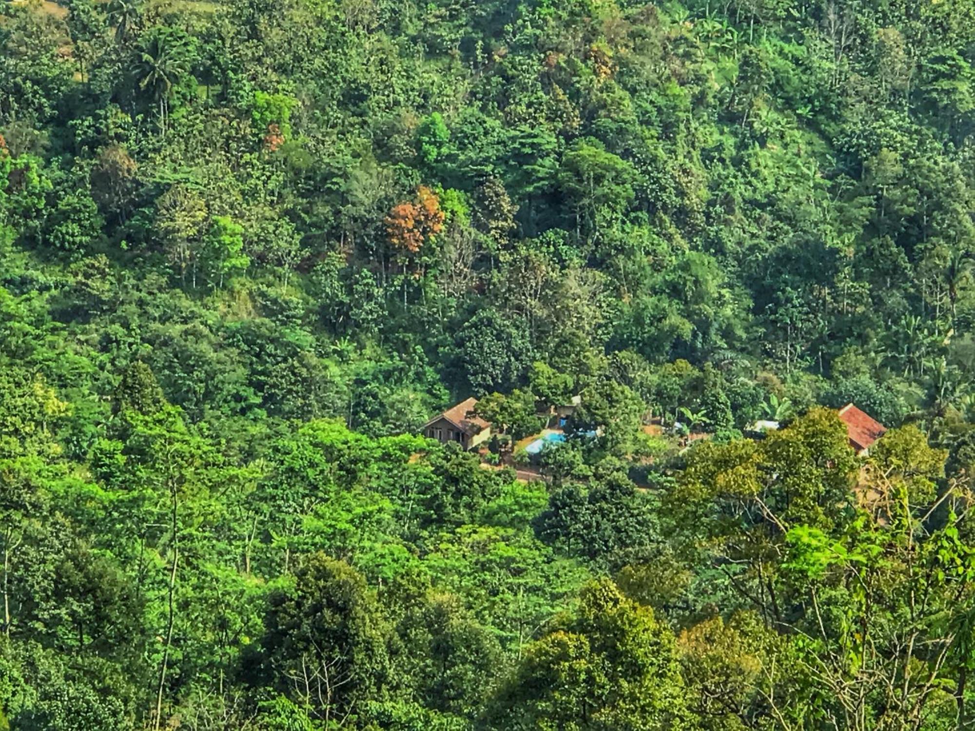 Manangel Séjour à la ferme Sindanglaka