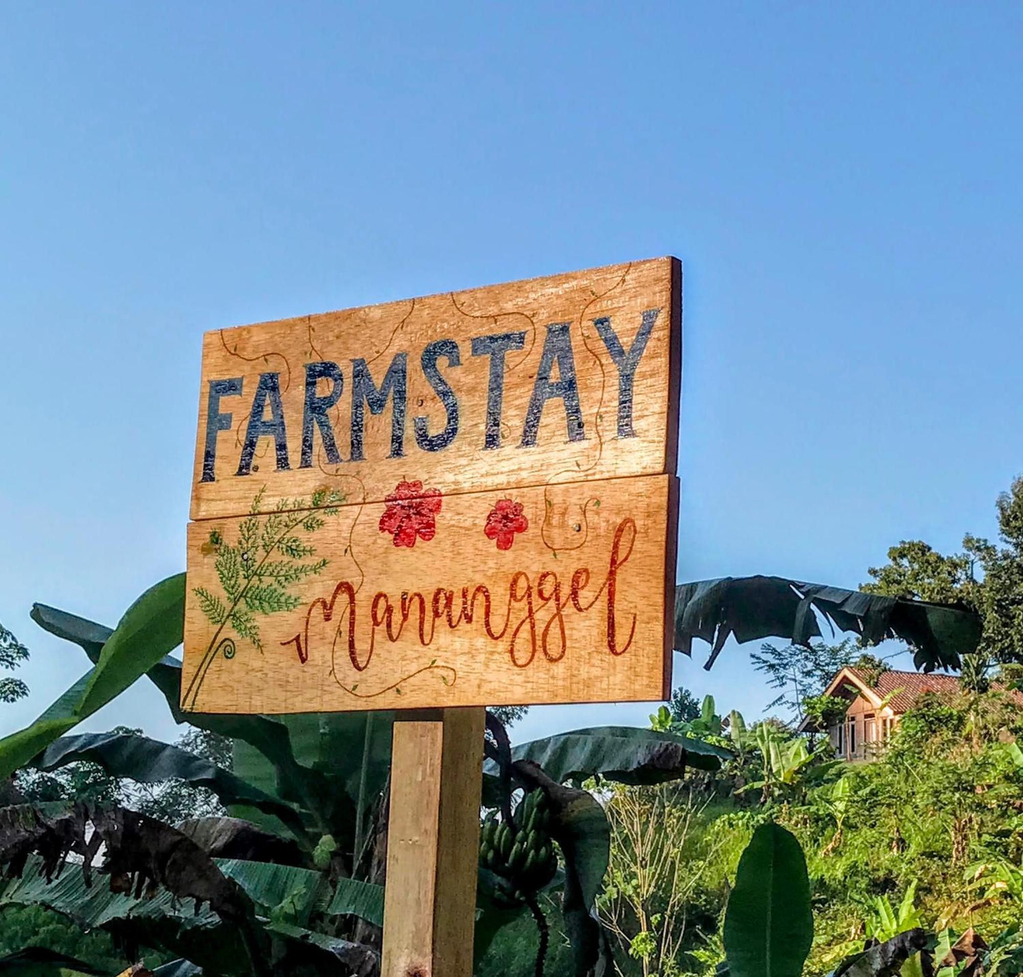 Farm stay Manangel
